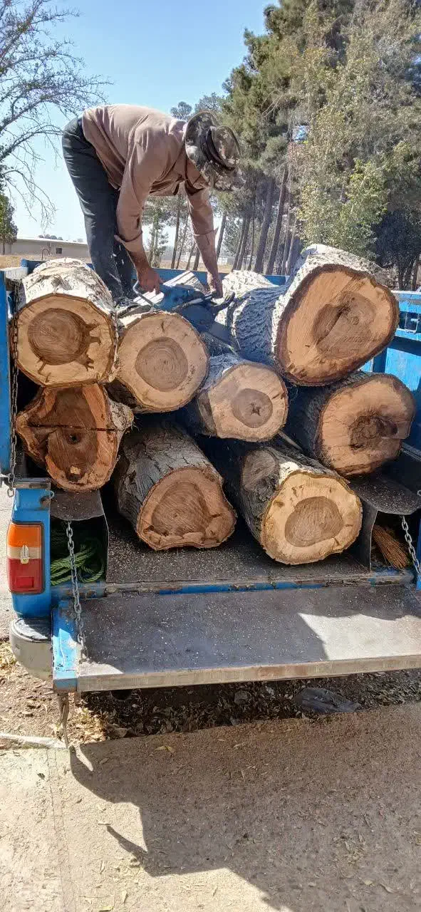 خریدارچوب|خدمات باغبانی و درختکاری|نظرآباد, فخر ایران|دیوار