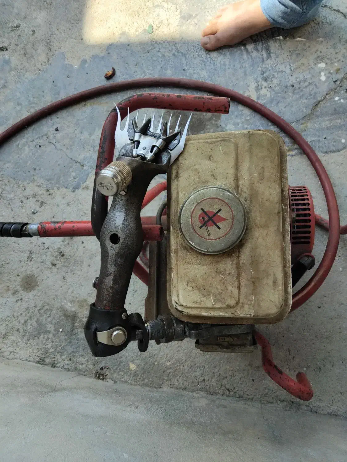 پشم چین بنزینی|لوازم جانبی حیوانات|نورآباد ممسنی, |دیوار