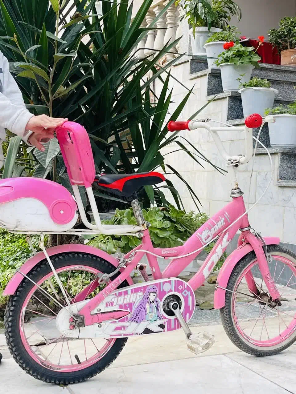 فروش ۲ عدد دوچرخه|دوچرخه، اسکیت، اسکوتر|چوبر, |دیوار