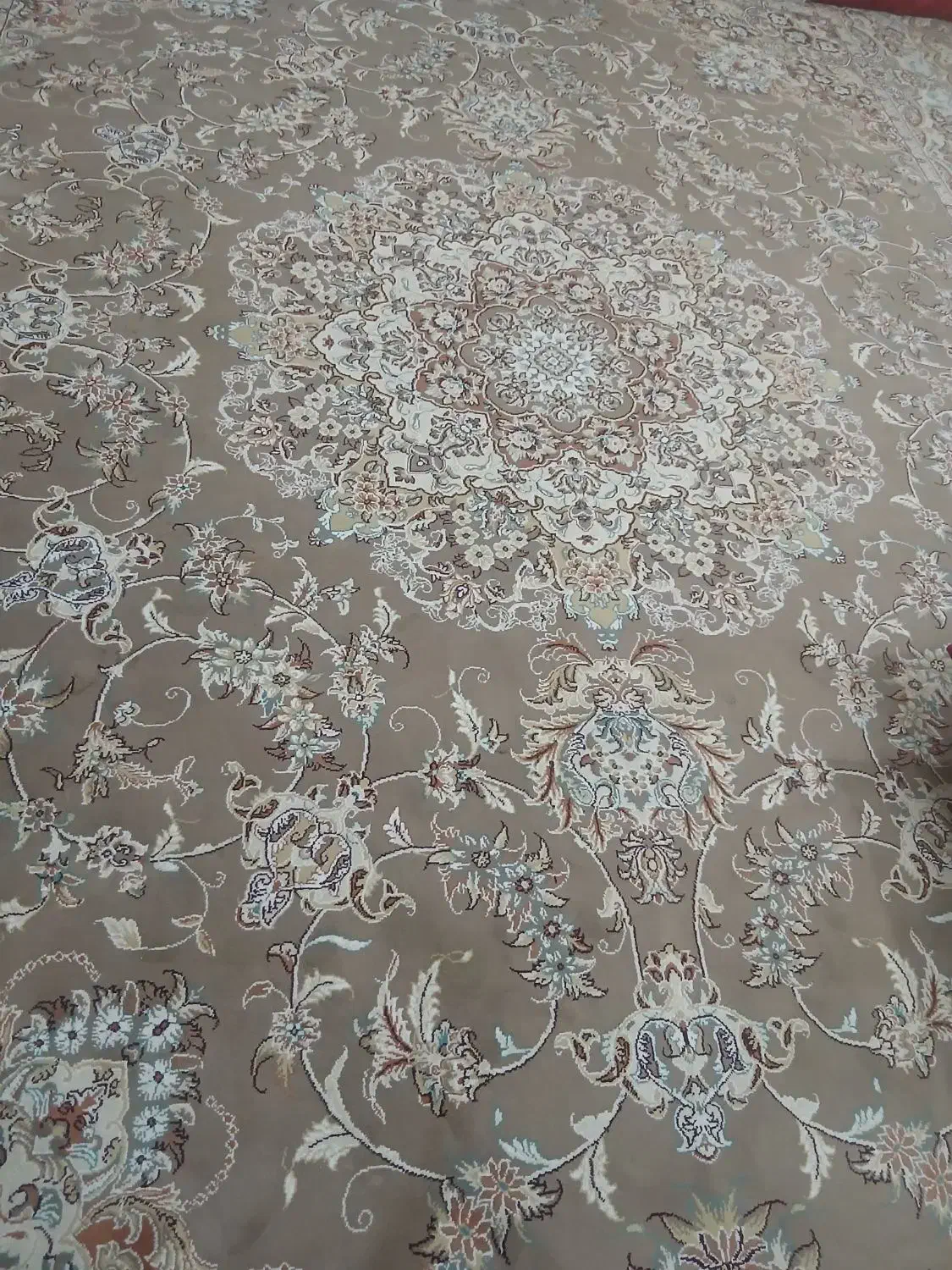 فرش گردویی تمام نخ ۱۲ متری|فرش|مشهد, شهید معقول|دیوار