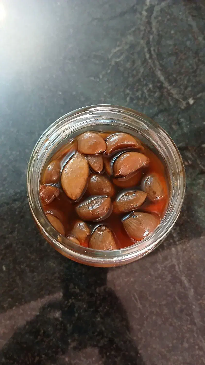 ترشی سیر ۱۰ ساله|خوردنی و آشامیدنی|تربت‌حیدریه, شهرک ولیعصر|دیوار