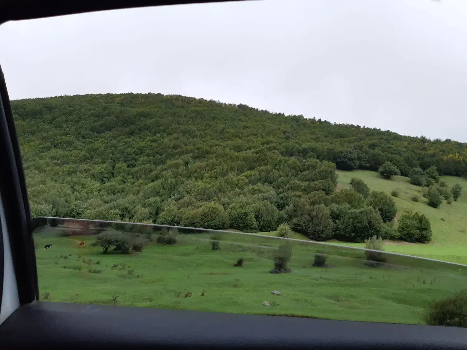 تور ایرون گرددی درفس مبرمتون هرشهری که مکگوید|تور و چارتر|اهواز, کیانپارس |دیوار