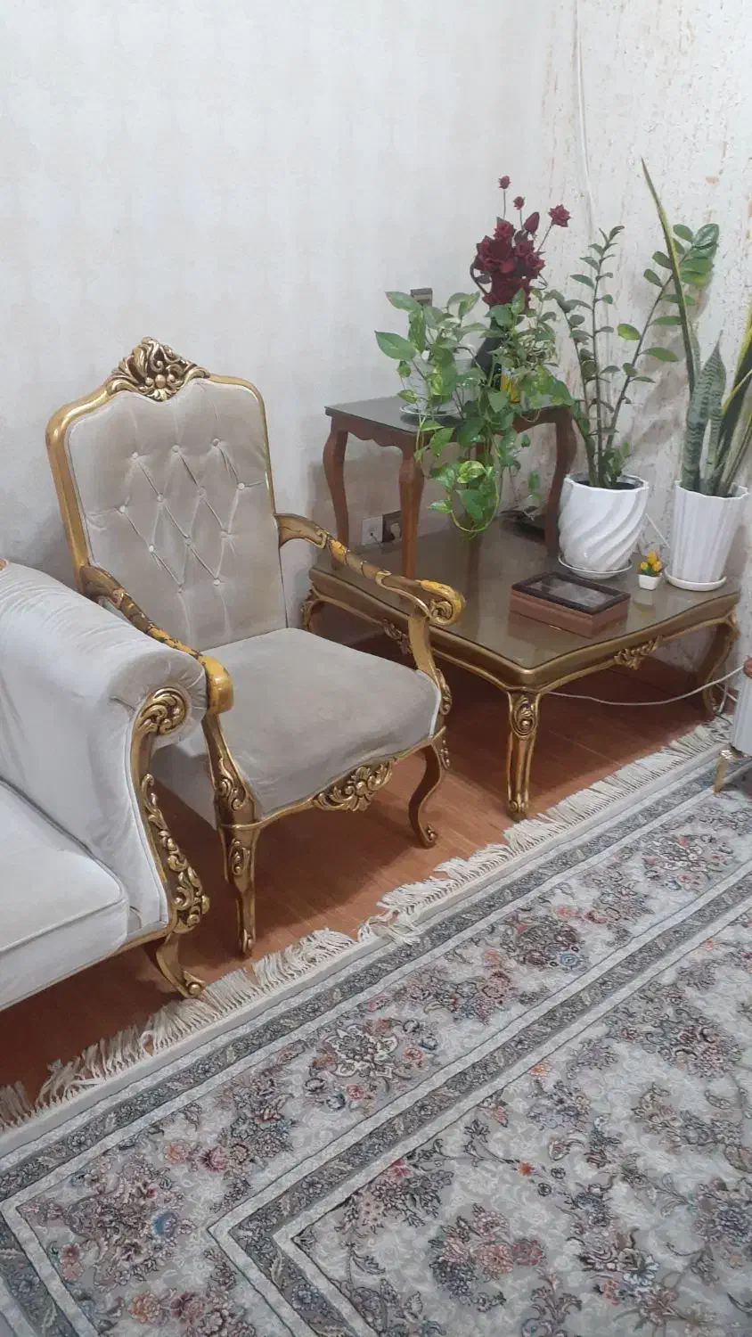 مبل سلطنتی ۷ نفره|مبلمان خانگی و میز عسلی|بندر انزلی, لیچارگی حسن رود|دیوار