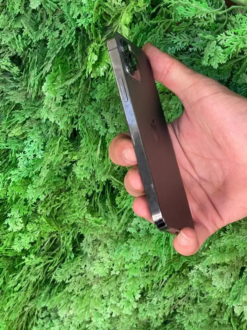 ایفون ۱۲ پرو|موبایل|سبزوار, قائم|دیوار