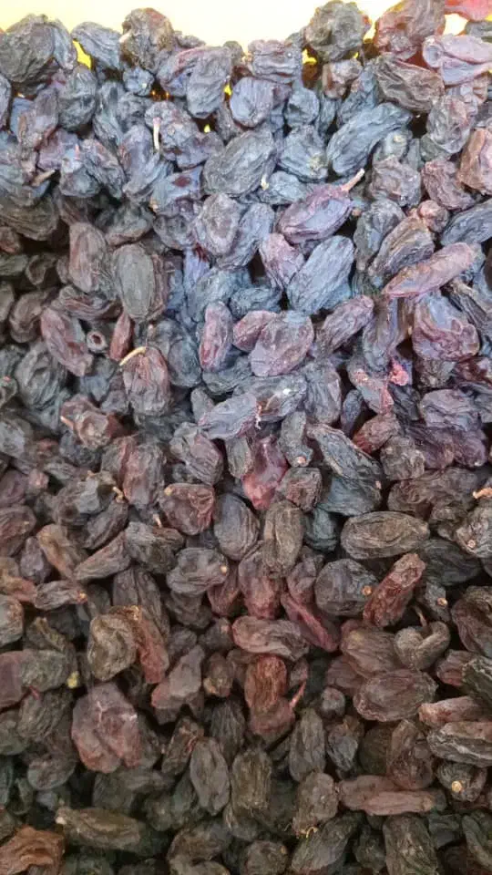 گردو کشمش از۲۰۰تومنی دا رم تا ۴۵۰ت|عمدهفروشی|صائین قلعه, |دیوار