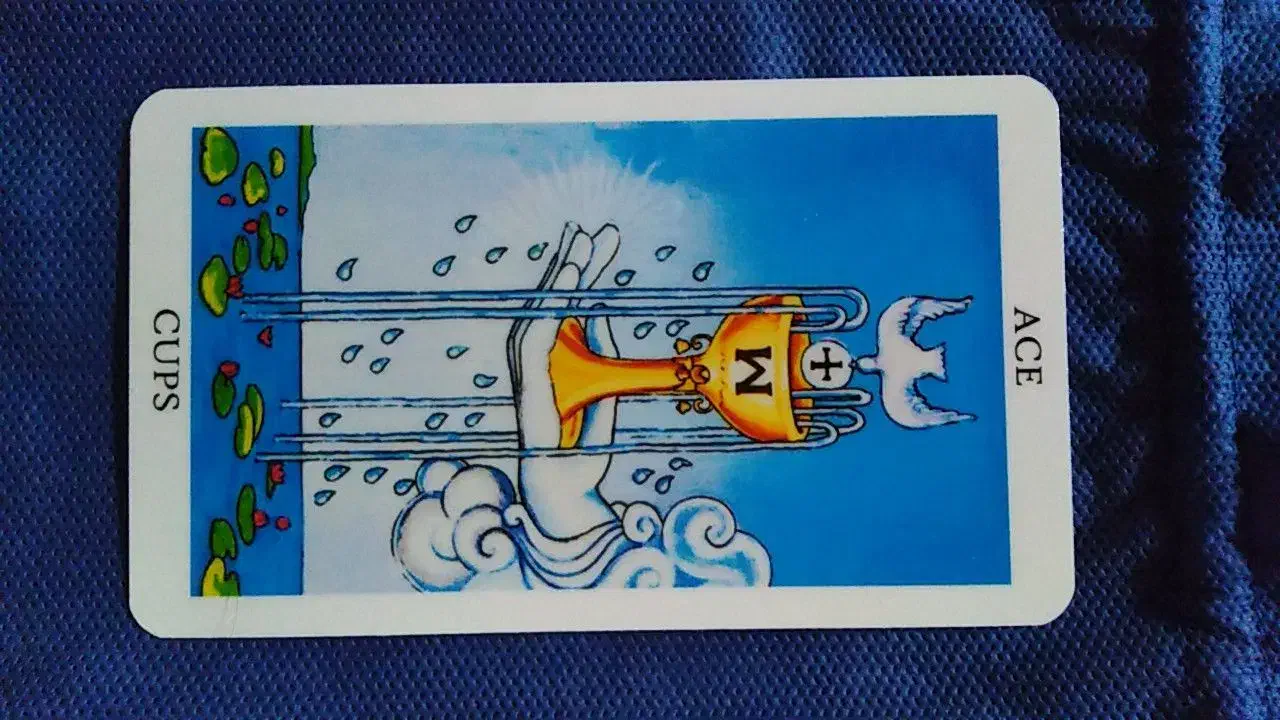 یادگیری فال تاروت|خدمات آموزشی|بجنورد, |دیوار