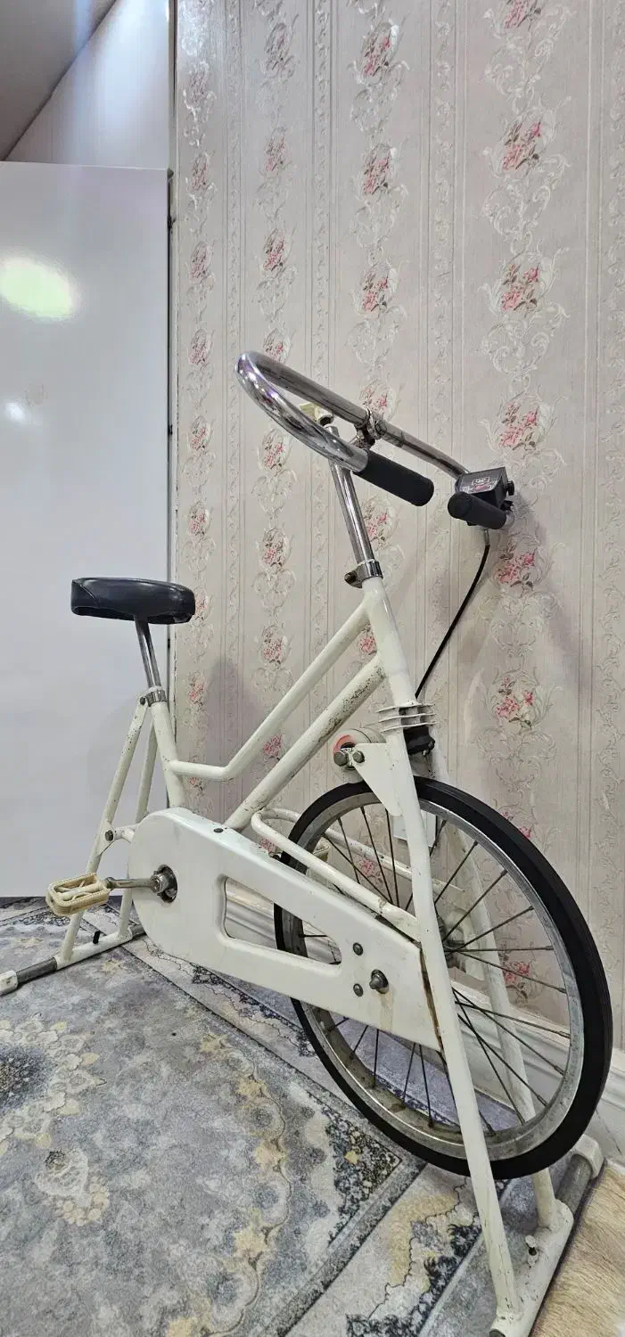 دوچرخه ورزشی|تجهیزات ورزشی|رشت, اسماعیل آباد|دیوار