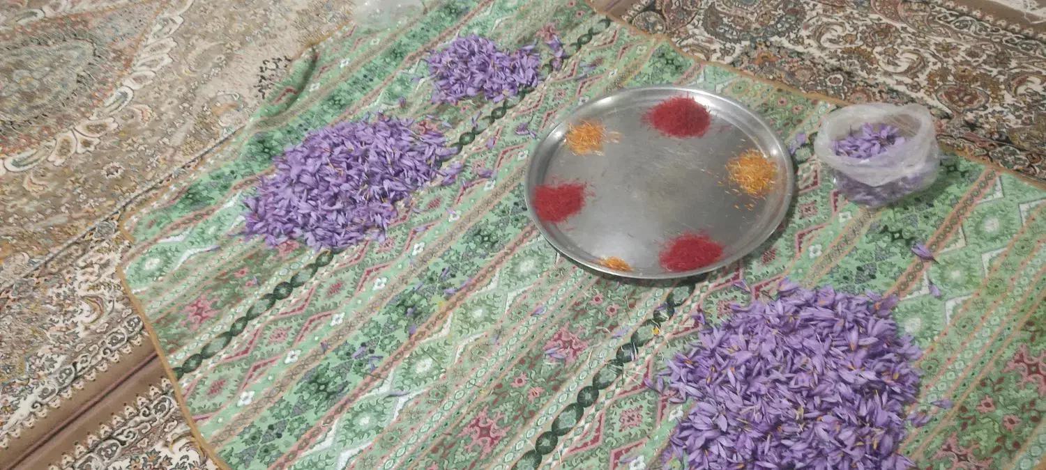 زعفرون تازه|خوردنی و آشامیدنی|پاکدشت, شهرک امام رضا|دیوار