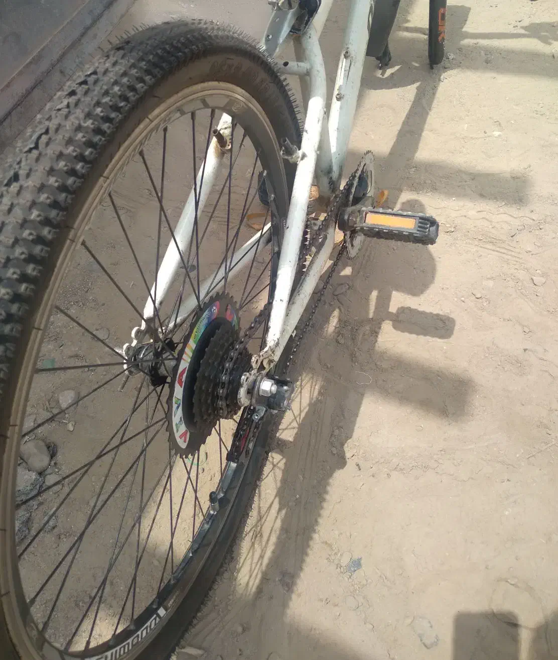 ۰دوچرخه|دوچرخه، اسکیت، اسکوتر|بندرعباس, |دیوار