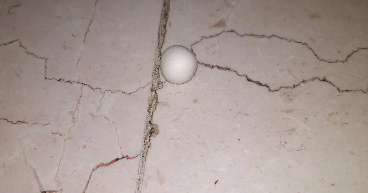 سنگ آسیاب الماس|جواهرات|تهران, ابوذر|دیوار