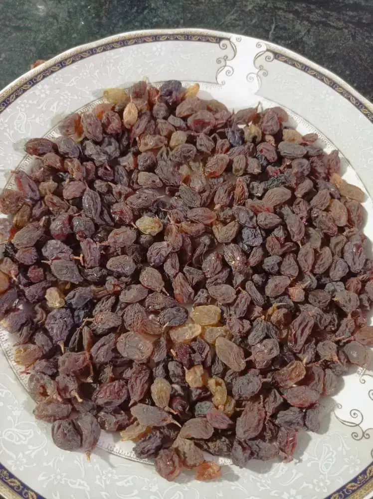 کشمش اورگانیک|خوردنی و آشامیدنی|یاسوج, |دیوار