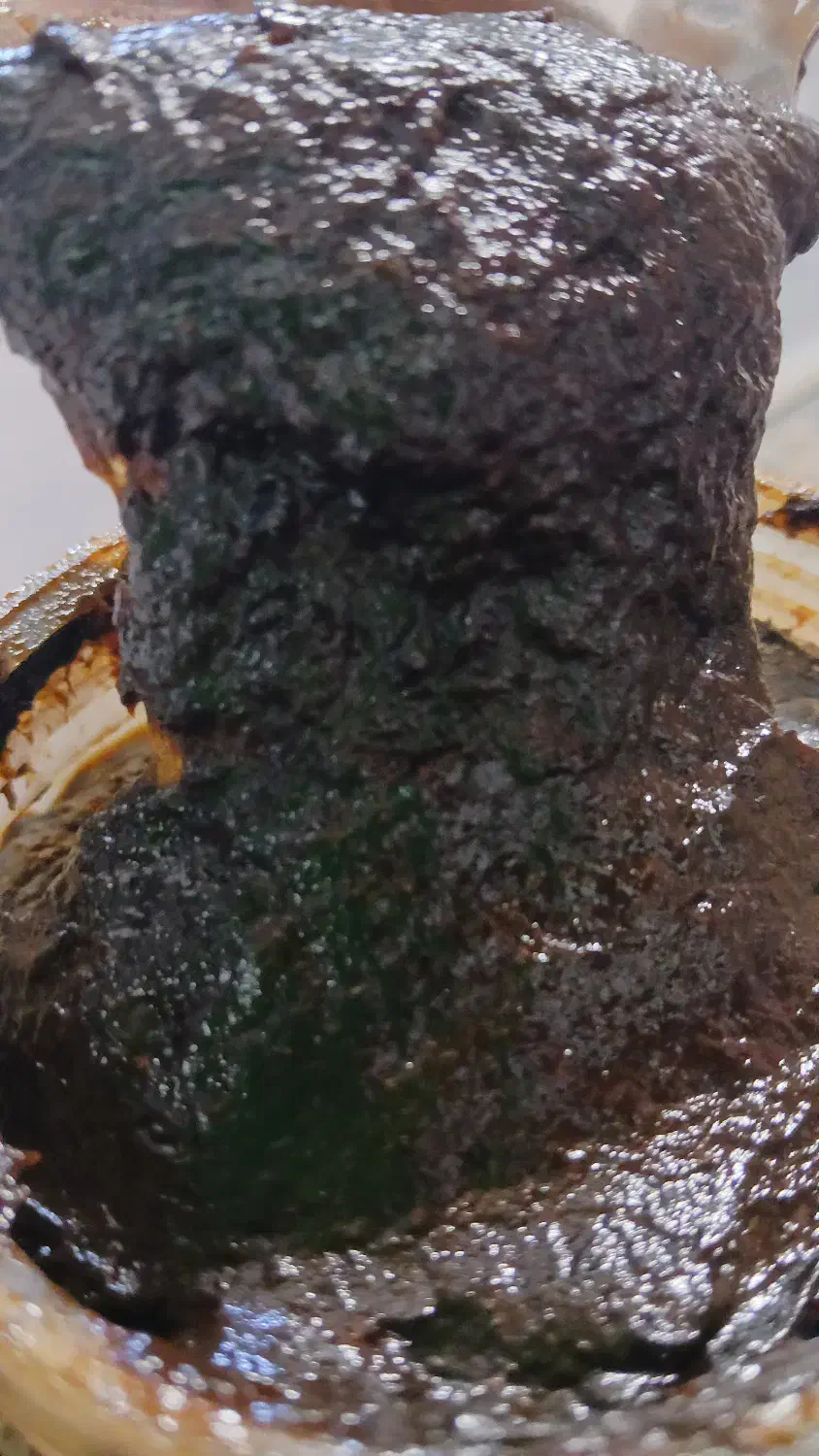 ترشی آلوچه خوشمزه و ترش صدرصد آلوچه و آبدار نیست|خوردنی و آشامیدنی|رشت, پل تالشان|دیوار