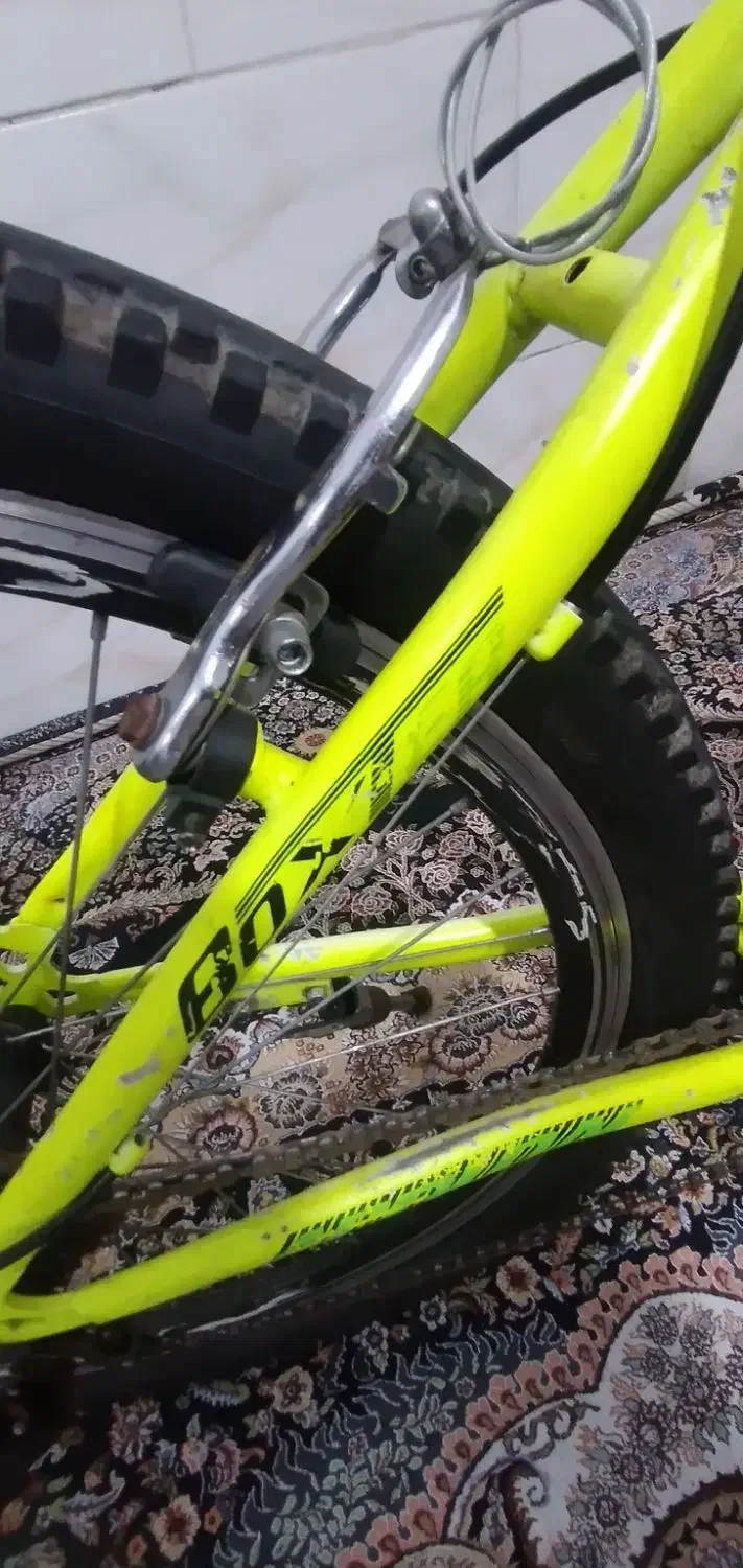 دوچرخ فروشی|دوچرخه، اسکیت، اسکوتر|یزد, |دیوار