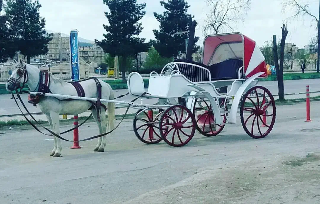 اساس کالسکه درشکه|اسب و تجهیزات اسب‌سواری|ری, بازار آهن|دیوار