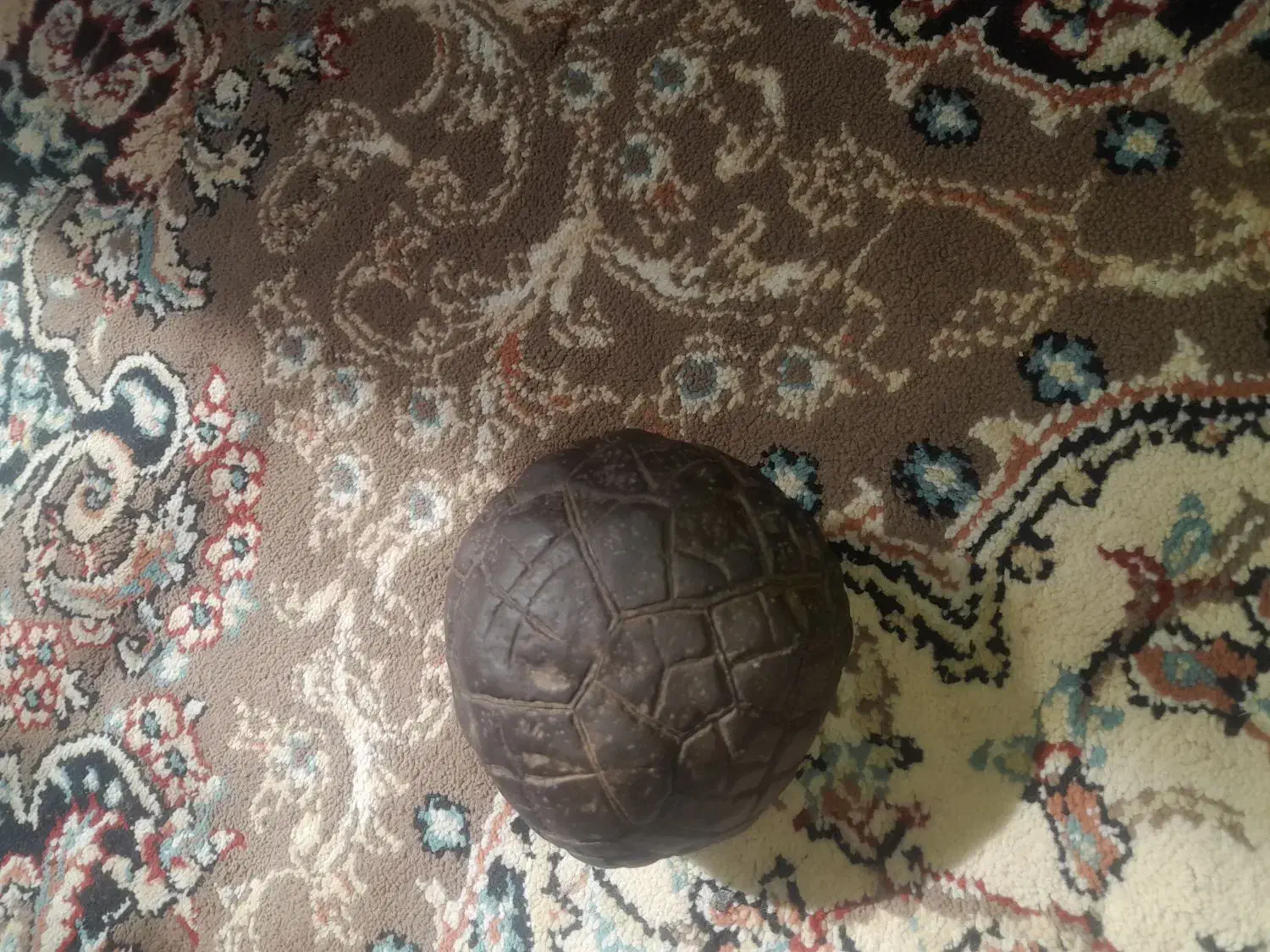 سنگ|کلکسیون اشیاء عتیقه|مشهد, جنت|دیوار