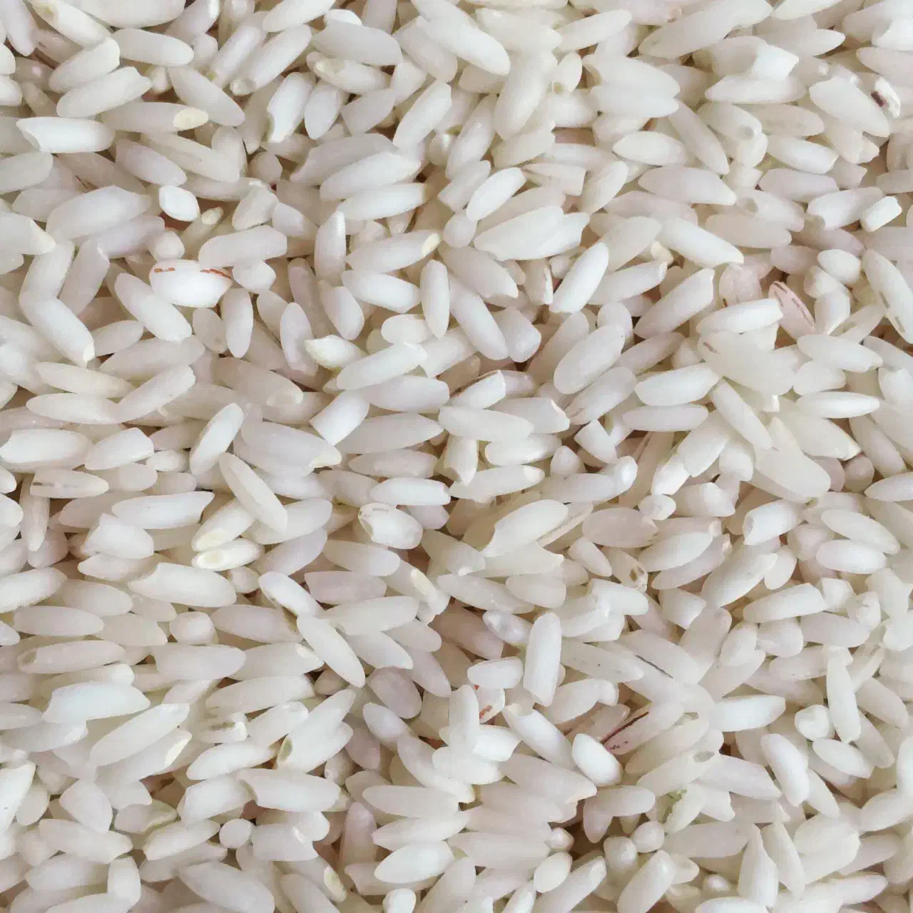برنج عنبر بو|خوردنی و آشامیدنی|شیراز, کوی زهرا|دیوار