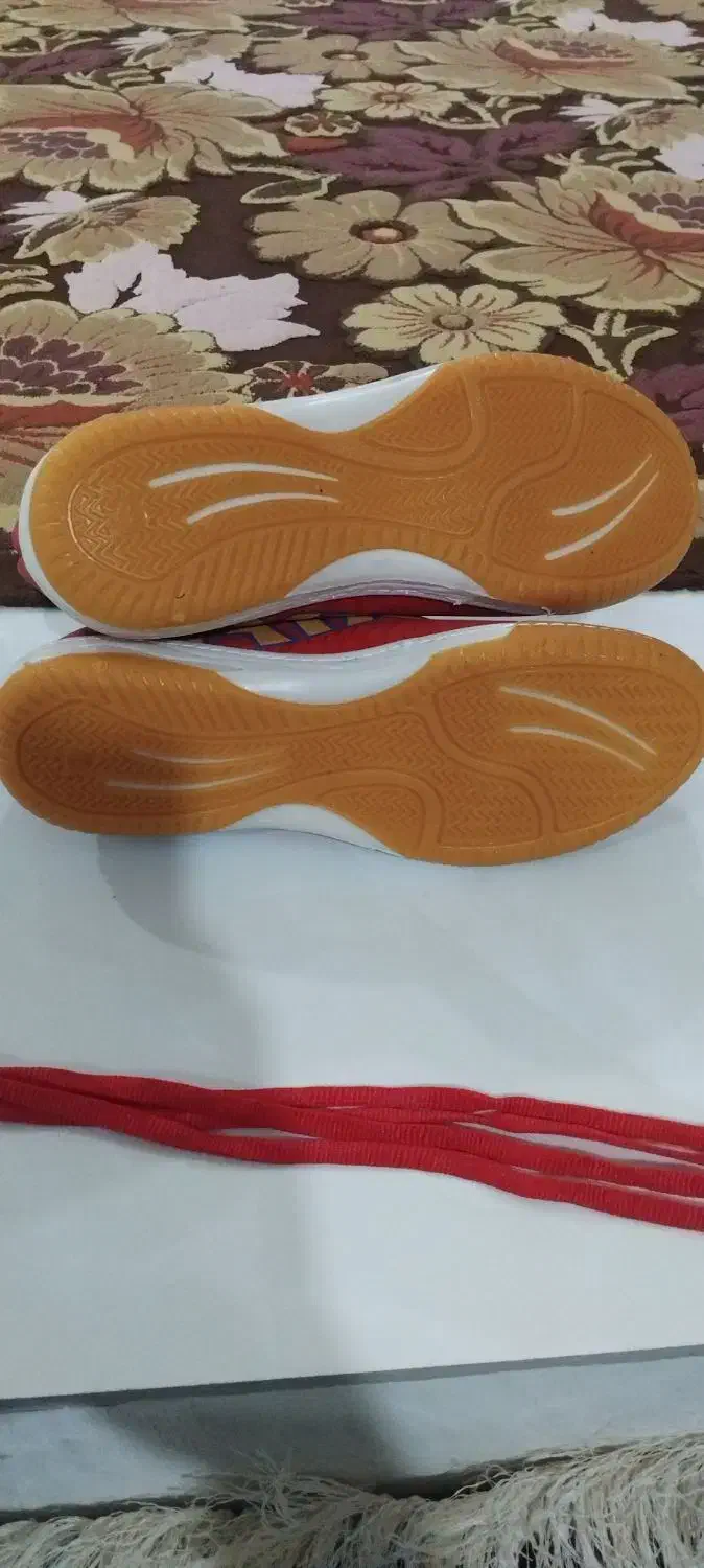 کفش سالن|تجهیزات ورزشی|تربت جام, امام|دیوار