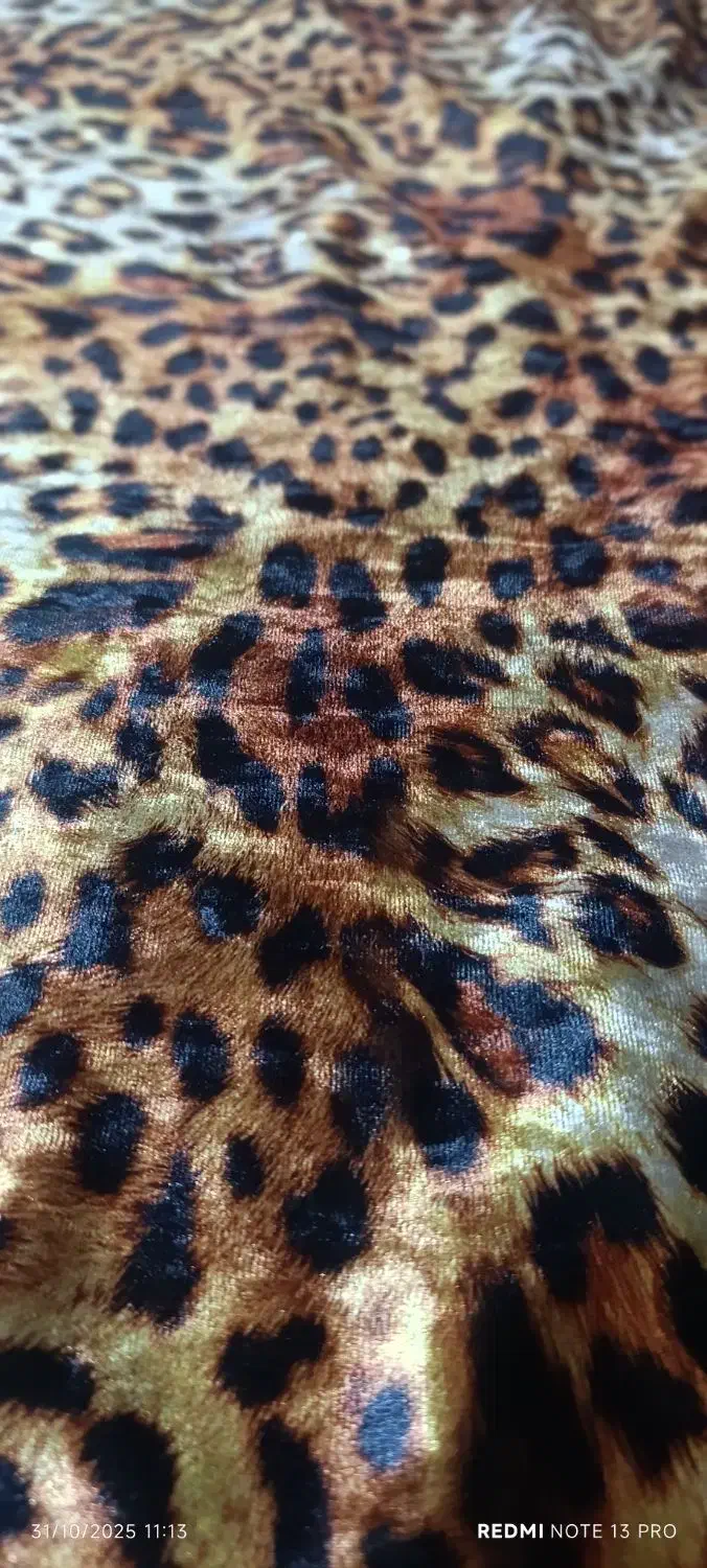 پارچه مخمل|لباس|اهواز, کوی طلاب|دیوار