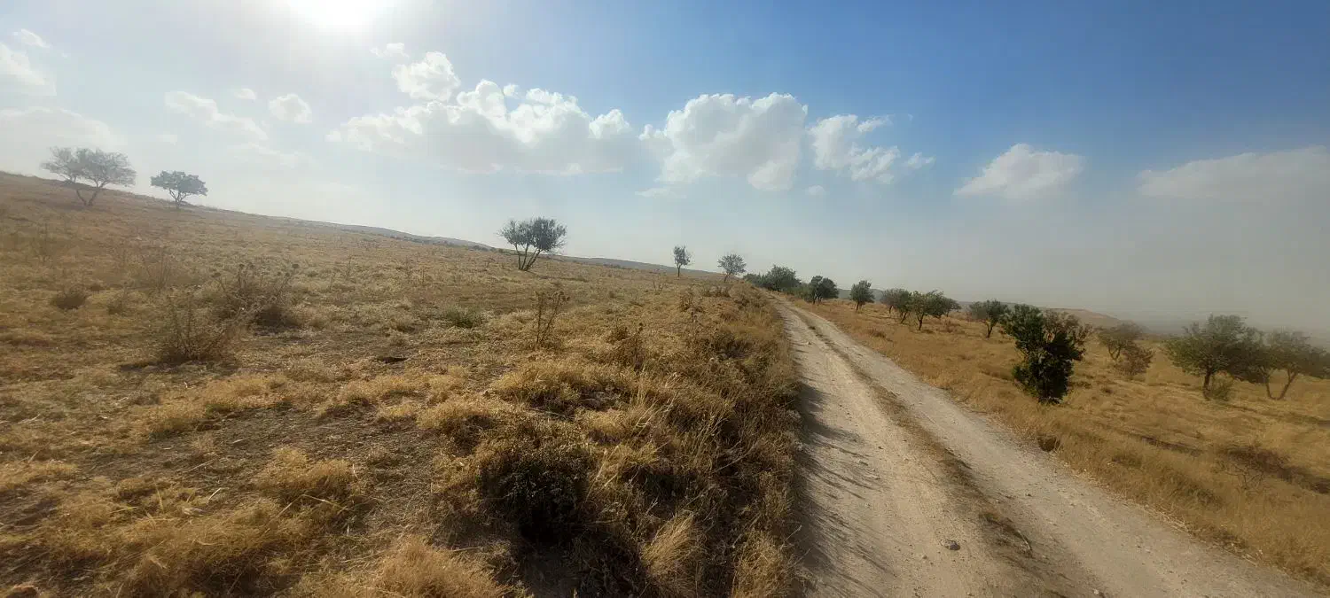 زمین دیمی در کنار جاده کندوان|فروش زمین و ملک کلنگی|اسکو, |دیوار