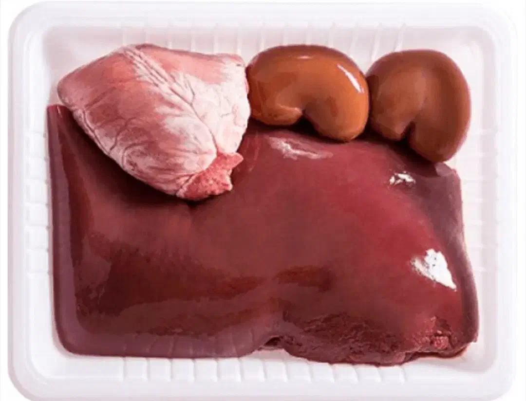 اشغال گوشت جگرکی پروتئین دار برای سگ های خانگی|سگ|کرمانشاه, |دیوار