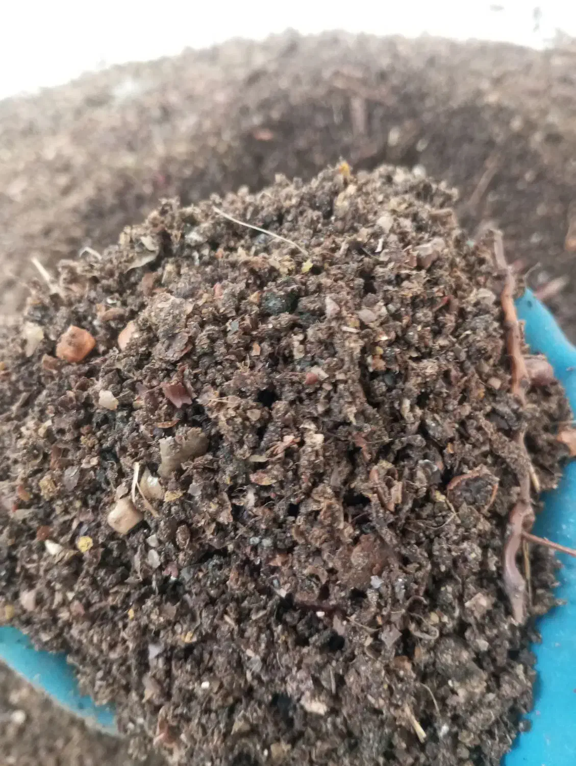 تفاله موجود|لوازم جانبی حیوانات|مشگین شهر, |دیوار