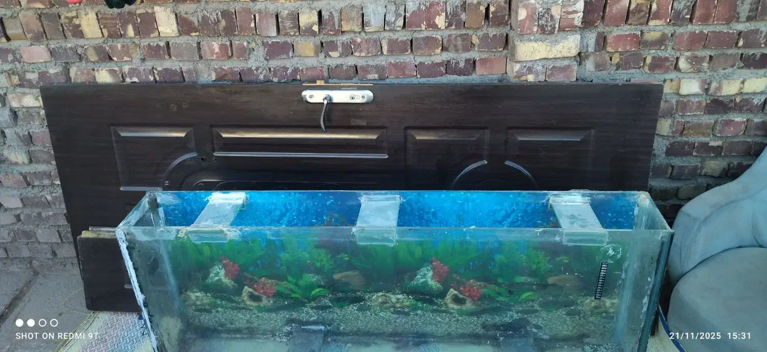 اکواریوم|ماهی|تربت جام, اسماعیل آباد|دیوار