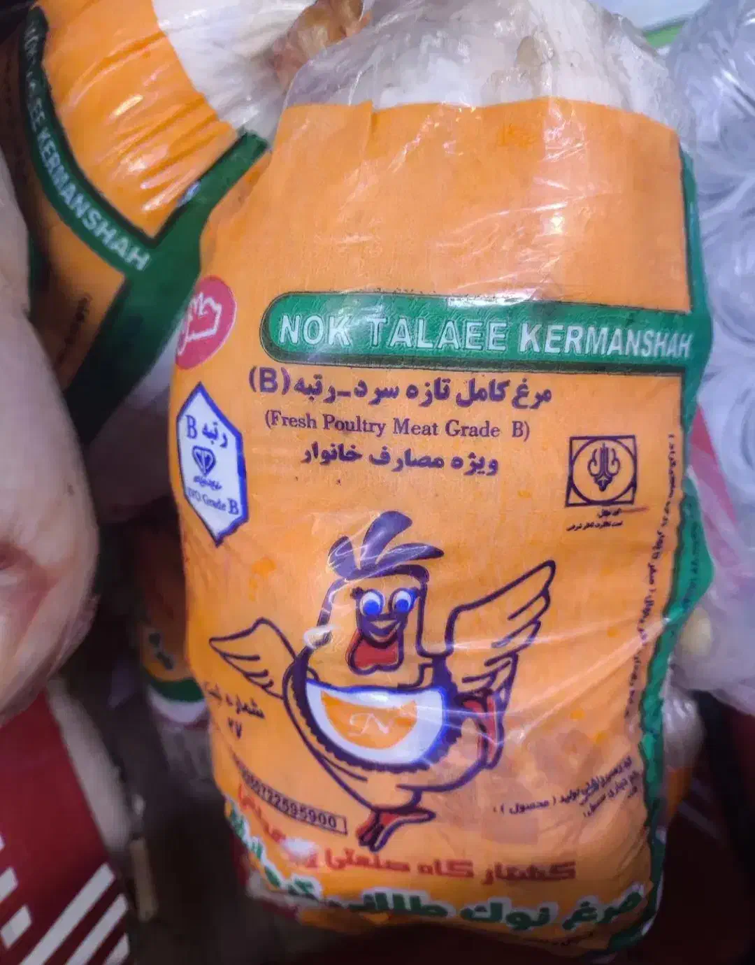 راهنمایی|فعالیت داوطلبانه|کرمانشاه, |دیوار