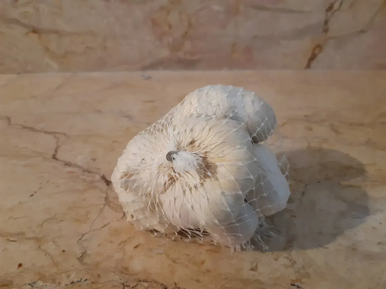 پخش سیر همدان|عمدهفروشی|تهران, کوی بیمه|دیوار