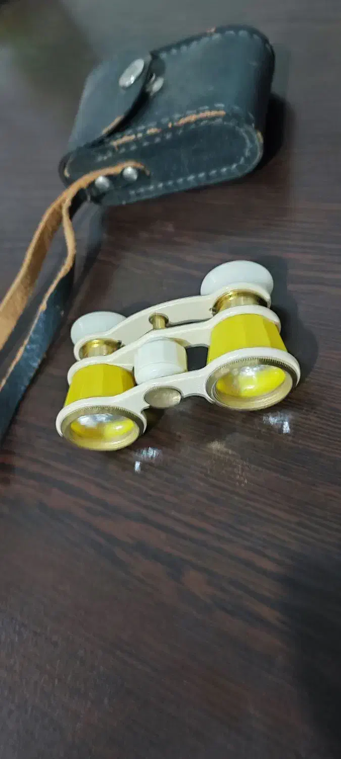 دوربین قدیمی|کلکسیون اشیاء عتیقه|یزد, |دیوار