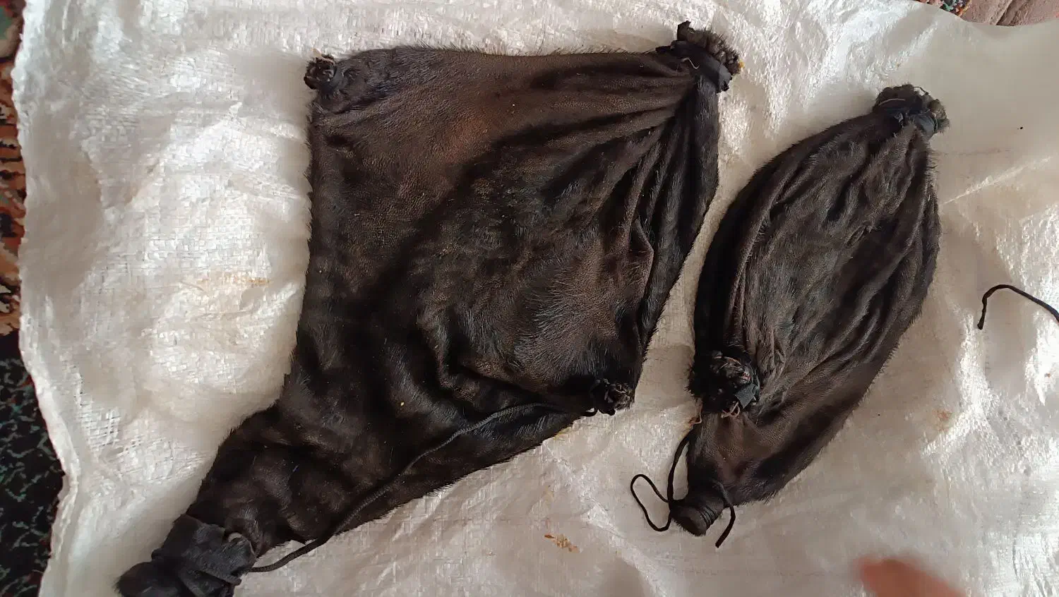 هیزه|صنایع دستی و سایر لوازم تزئینی|فیروزآباد (لرستان), |دیوار