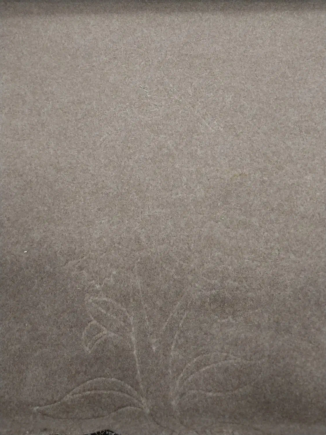 موکت|موکت|اسالم, |دیوار