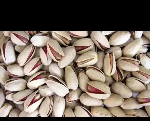 پسته|خوردنی و آشامیدنی|فولادشهر, B4|دیوار