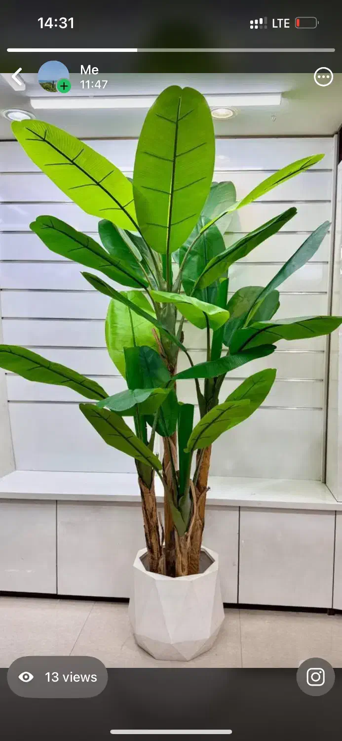 گیاهان مصنوعی و کربن وال سبز و رنگی|گل مصنوعی|صفادشت, |دیوار