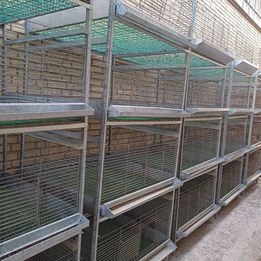 قفس پروش بلدرچین|لوازم جانبی حیوانات|اراک, |دیوار