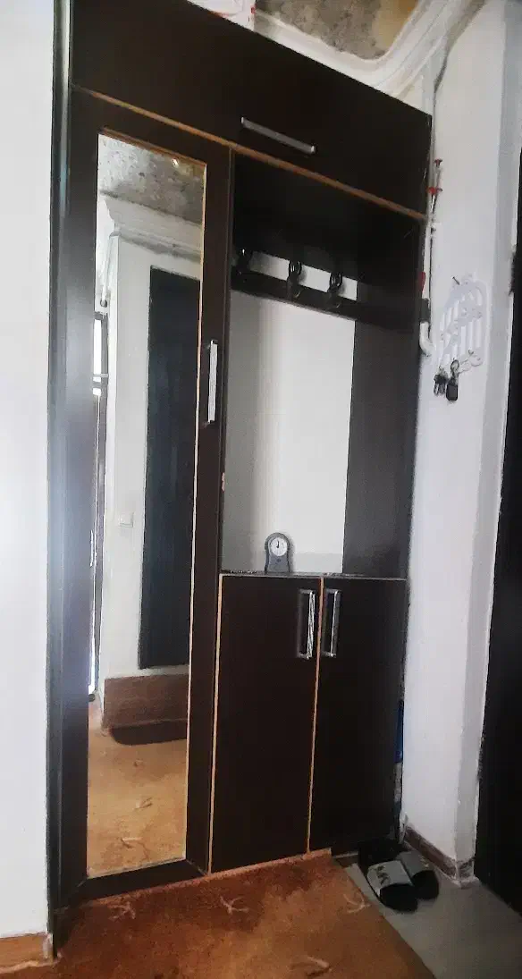 جاکفشی آویز دار|جاکفشی، کمد، دراور|سنندج, |دیوار