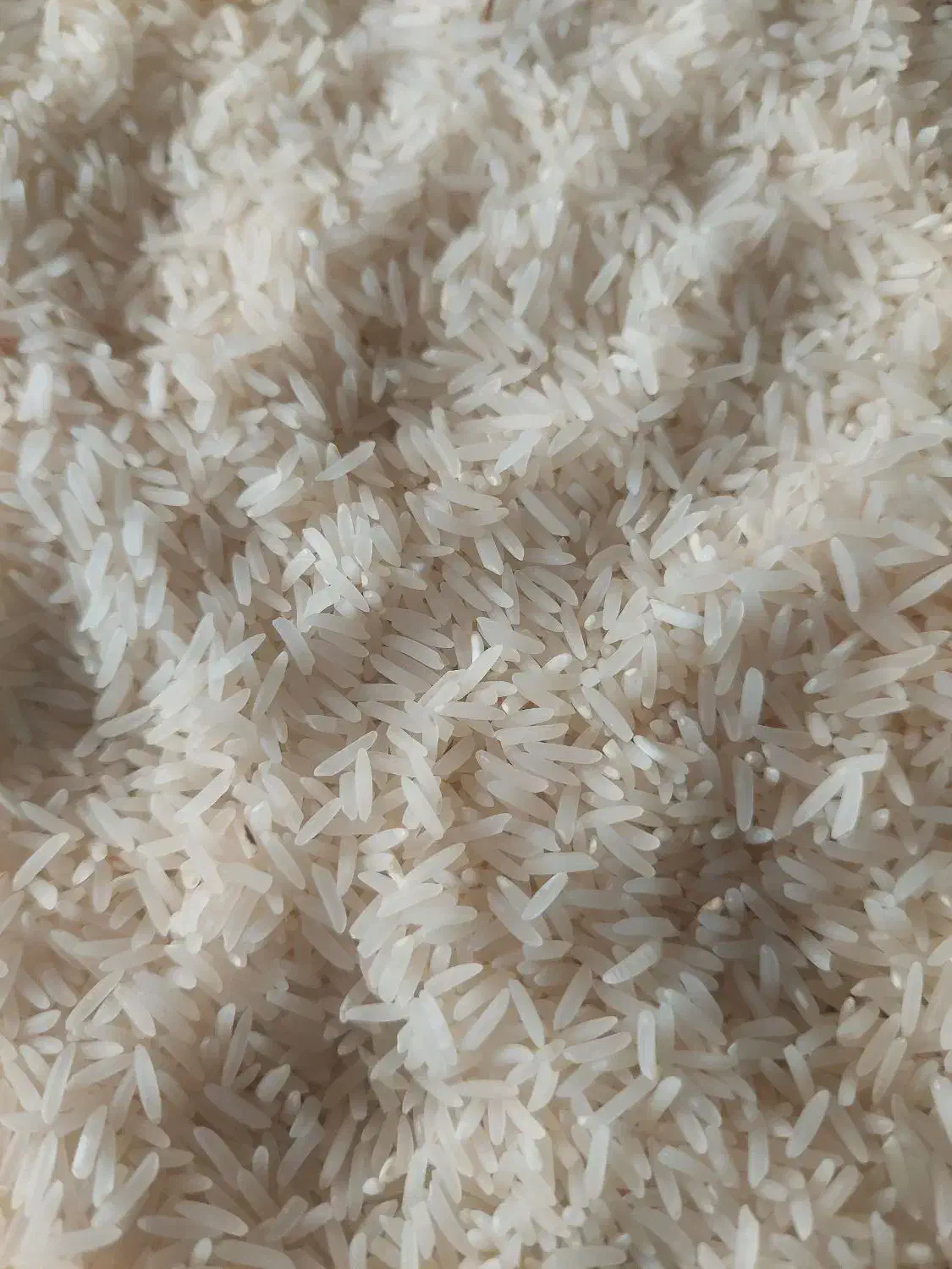 فجردرجه یک۹۰روز۰|خوردنی و آشامیدنی|مزرعه کتول, |دیوار