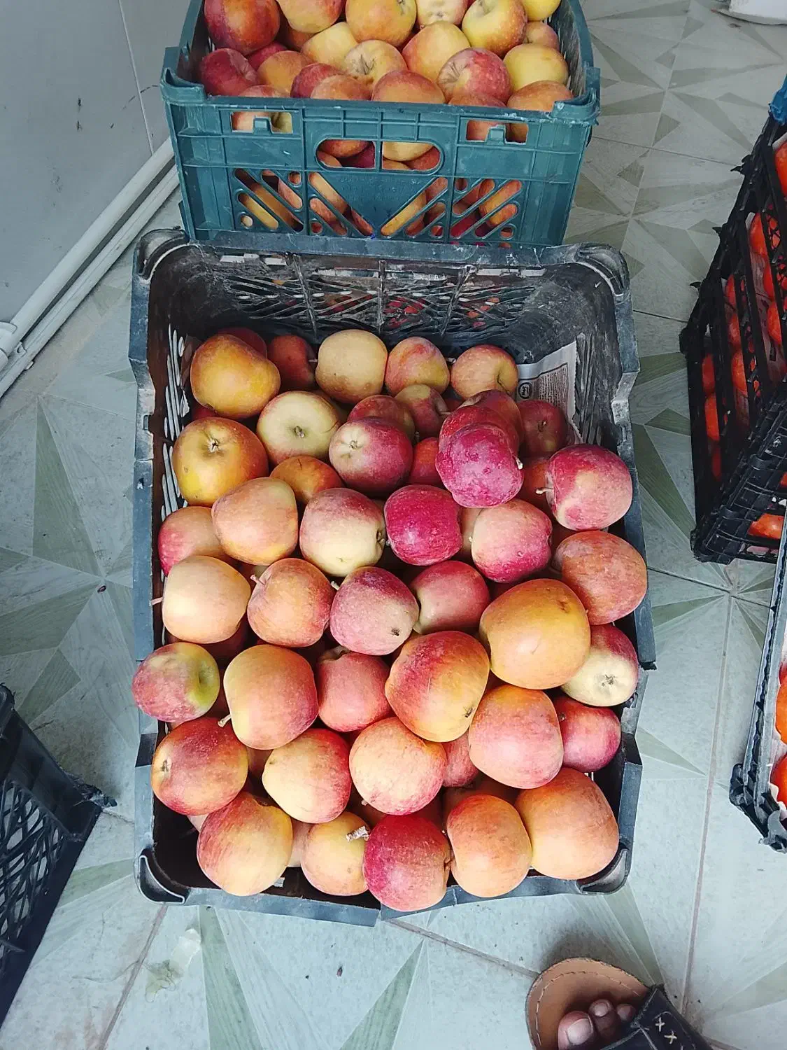 سیب درختی شیرین|خوردنی و آشامیدنی|یزد, |دیوار