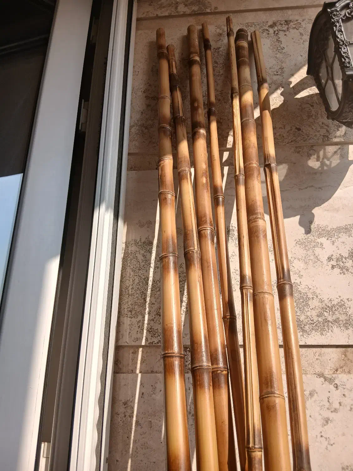 نی بامبو|گل و گیاه طبیعی|رودهن, |دیوار