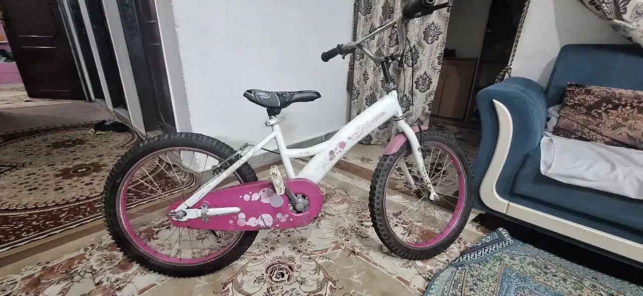 دوچرخه بچه گانه|دوچرخه، اسکیت، اسکوتر|مشهد, شهرآرا|دیوار