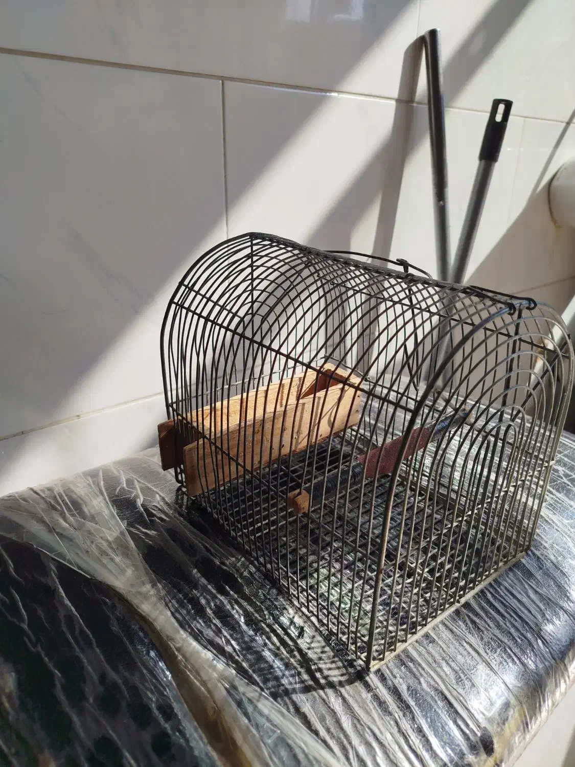 قفس|لوازم جانبی حیوانات|شیراز, کوشک میدان|دیوار