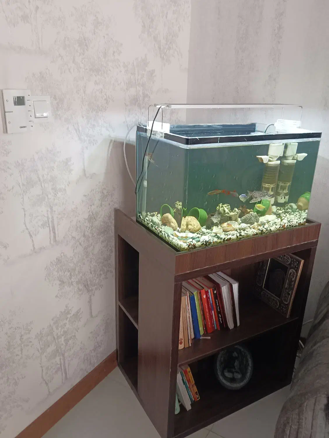 آکواریوم با ماهی و تجهیزات|ماهی|ری, اقدسیه|دیوار