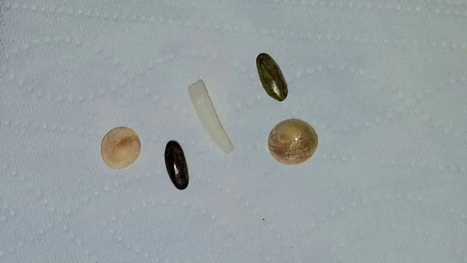 مهره شهرکرد|جواهرات|شهرکرد, |دیوار