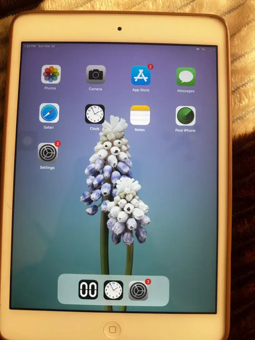 ایپد مینی 2 رنگ نقره ای|تبلت|تهران, اقدسیه|دیوار