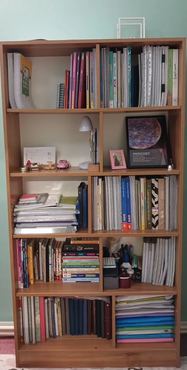 کتابخانه|کتابخانه، شلف، قفسههای دیواری|تهران, باغ فیض|دیوار