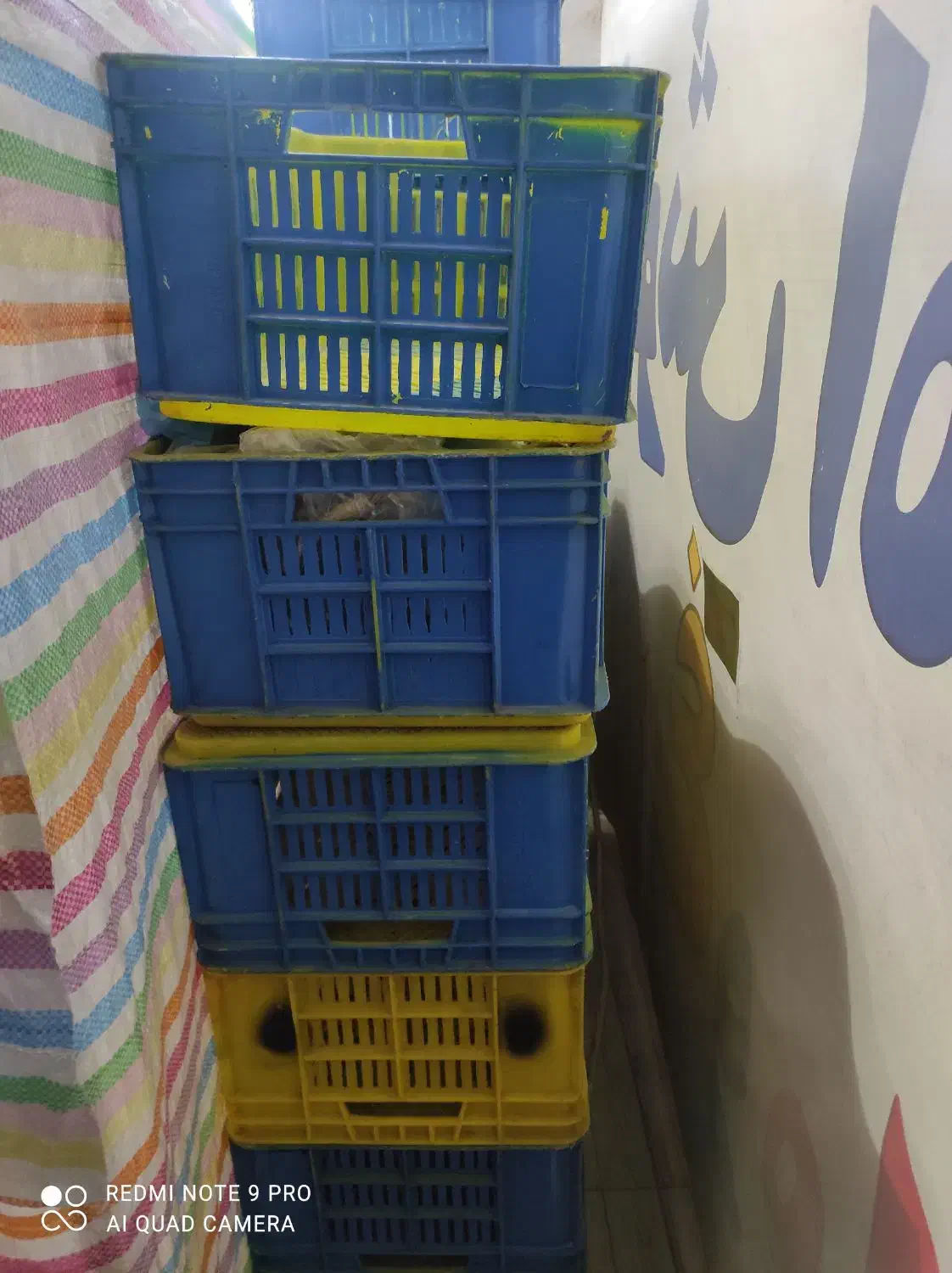 سبد|حراج|سنندج, |دیوار