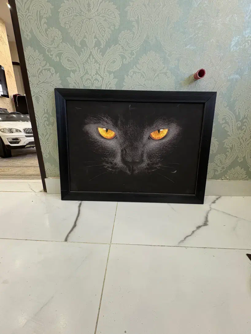 تابلوی چراغدار گربه|تابلو، نقاشی، عکس|گرگان, |دیوار