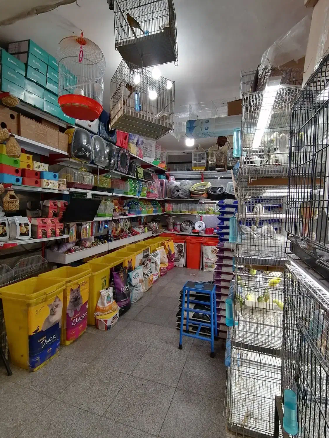 کارگر ساده پرنده فروشی پت شاپ|استخدام سرایداری و نظافت|تهران, خواجه نظام الملک|دیوار