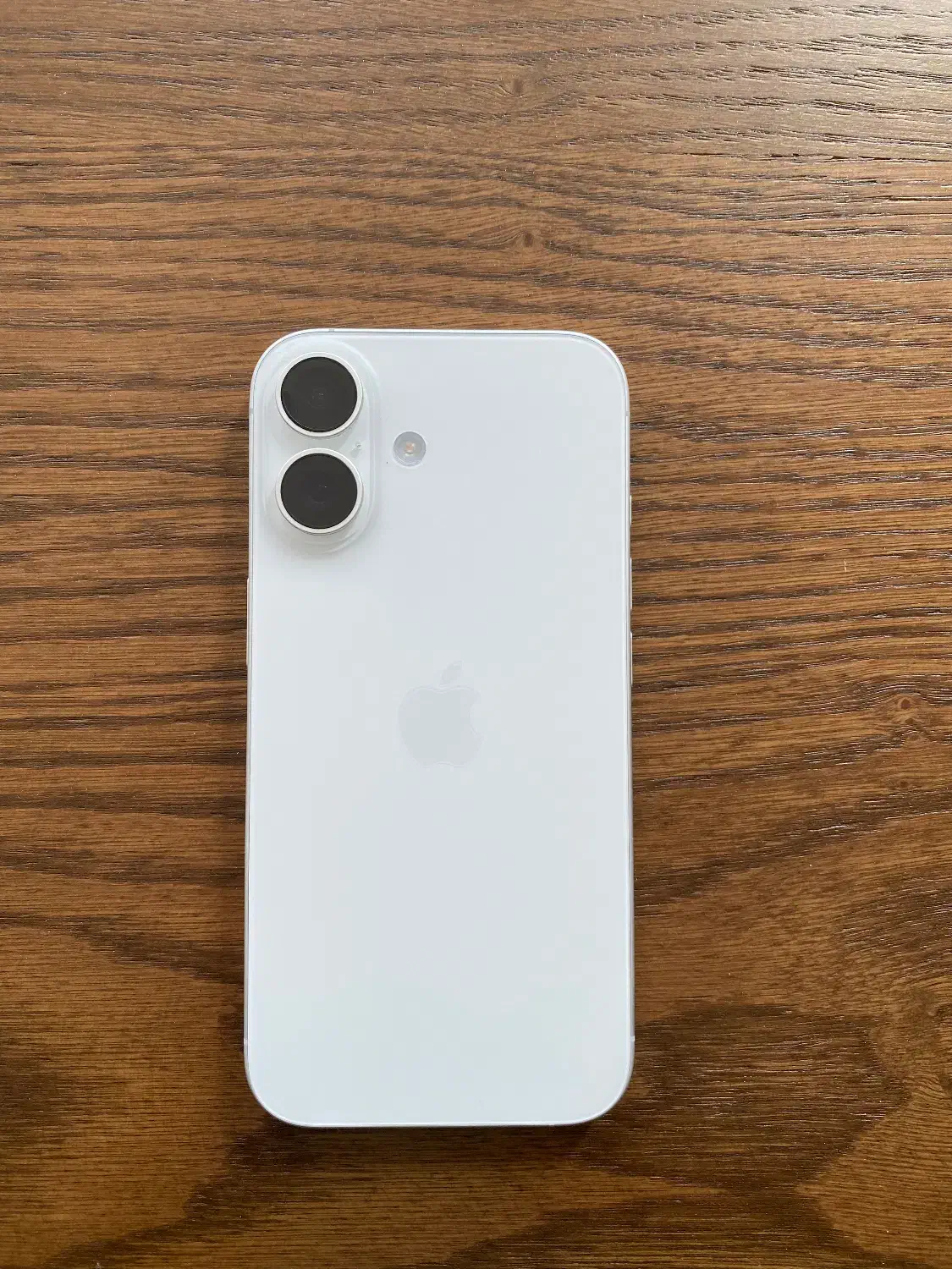 ایفون۱۶ نرمال|موبایل|شیراز, قدوسی غربی|دیوار