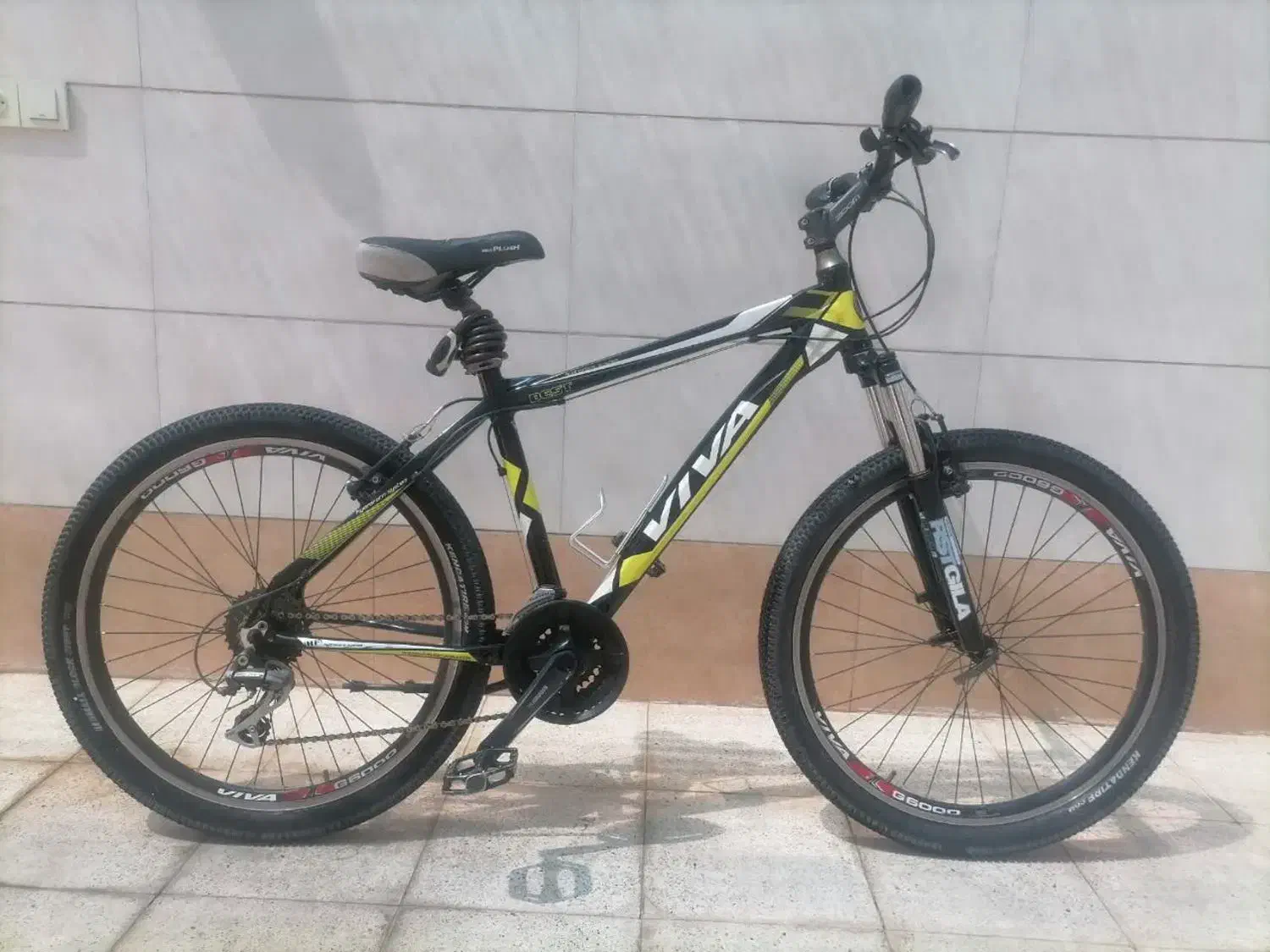 دوچرخه ویوا|دوچرخه، اسکیت، اسکوتر|بردسکن, |دیوار