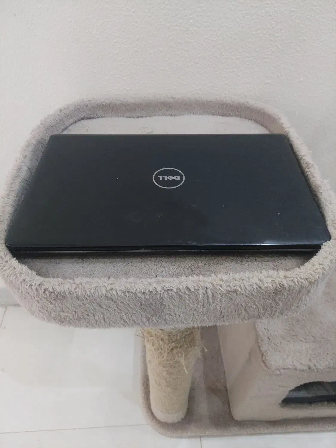 لپتاپ DELL|رایانه همراه|شاهین‌شهر, عطار|دیوار